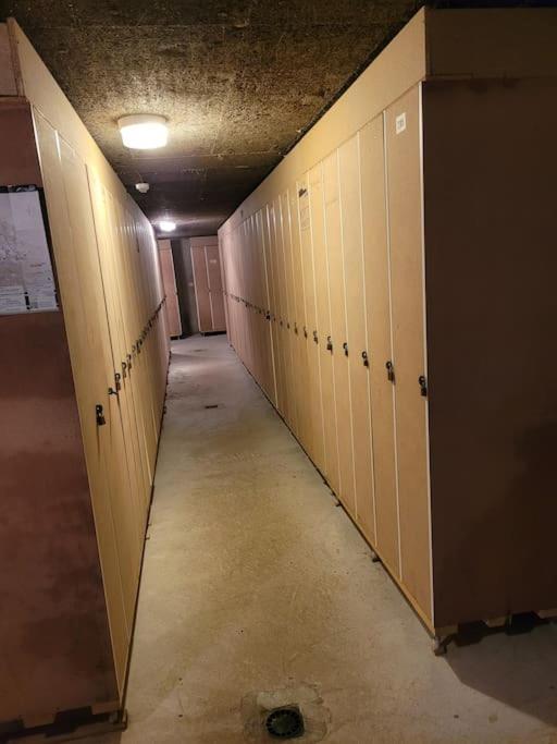 Le Duplex, Superbe Cocon Au Coeur Des Rousses, Tout Confort 5 Pers, Draps Inclus Les Rousses Exterior photo